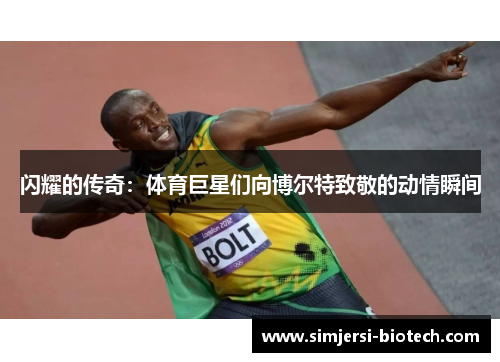 闪耀的传奇：体育巨星们向博尔特致敬的动情瞬间