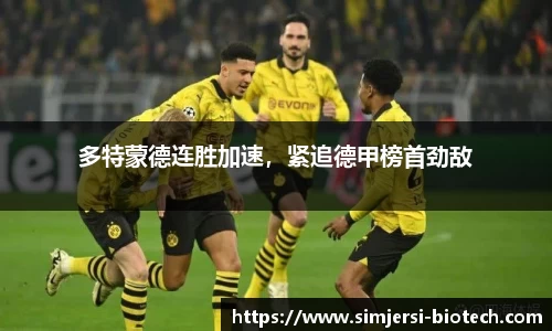 多特蒙德连胜加速，紧追德甲榜首劲敌