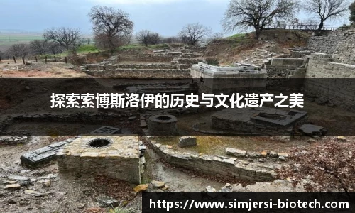 探索索博斯洛伊的历史与文化遗产之美