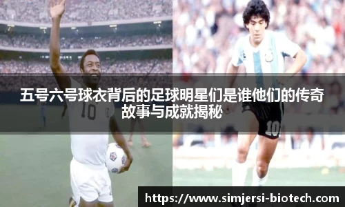 五号六号球衣背后的足球明星们是谁他们的传奇故事与成就揭秘
